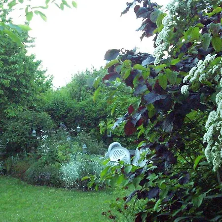 Souterrainwohnung Am Feigenbaum *